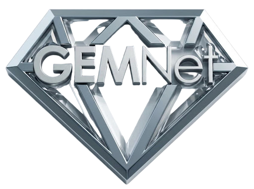 GEMNetwork logo